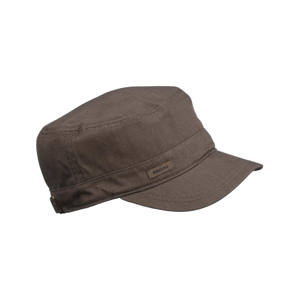 Vivamus maximus purus